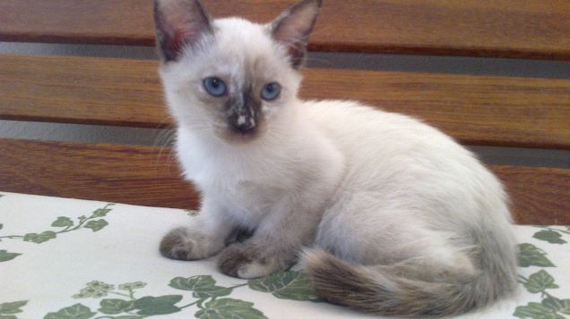 Il giorno del mio arrivo