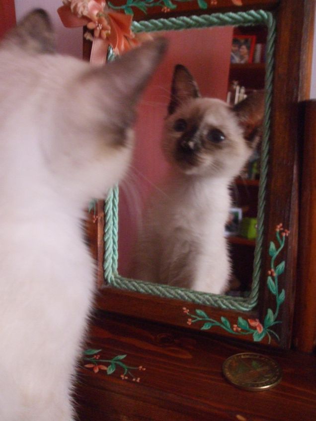 Ma...ma..quella sono io?