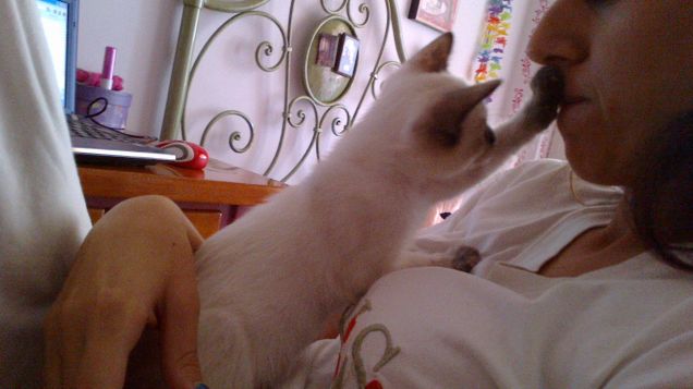 Basta con questi baci!