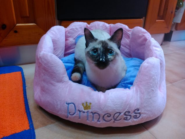 La mia nuova cuccia!