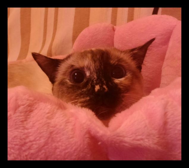 Faccina pazza numero 2