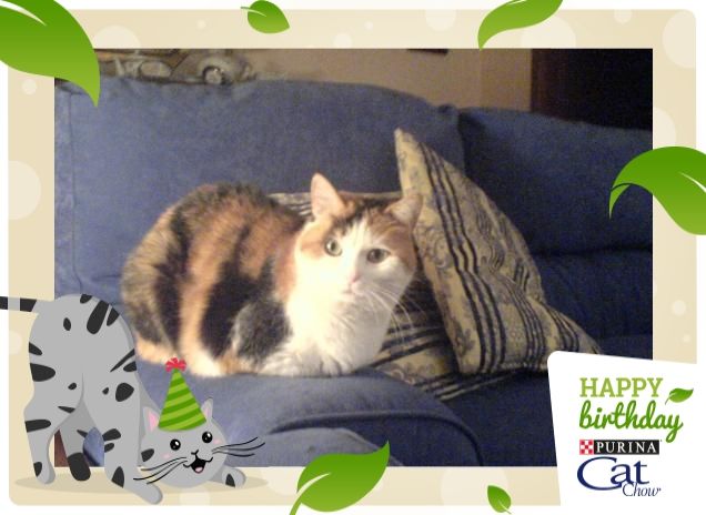 Oh.. oh, c'è una mosca....