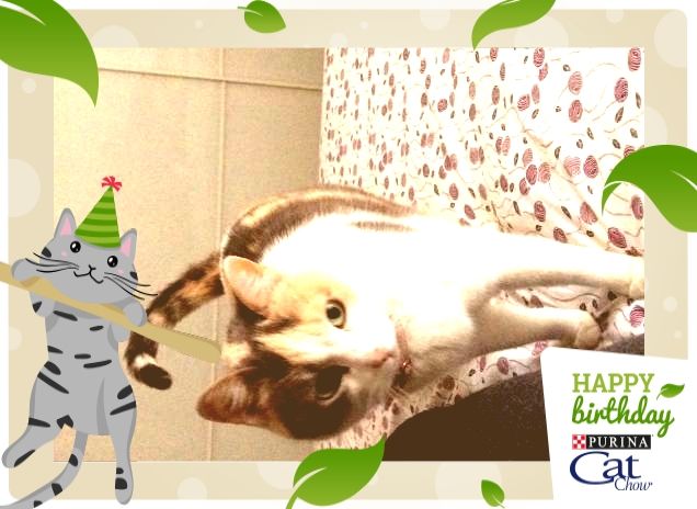 Il buongiorno si vede dal mattino