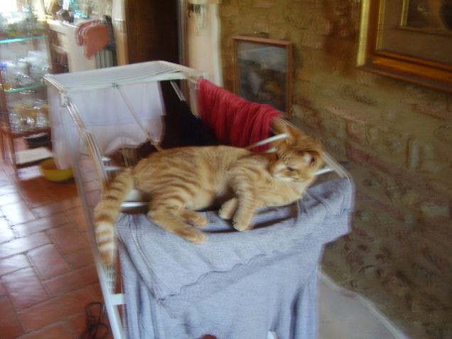 otello e il suo bucato 