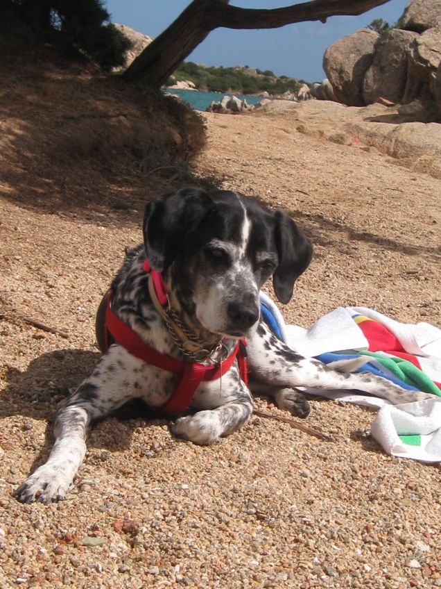 Una giornata esclusiva