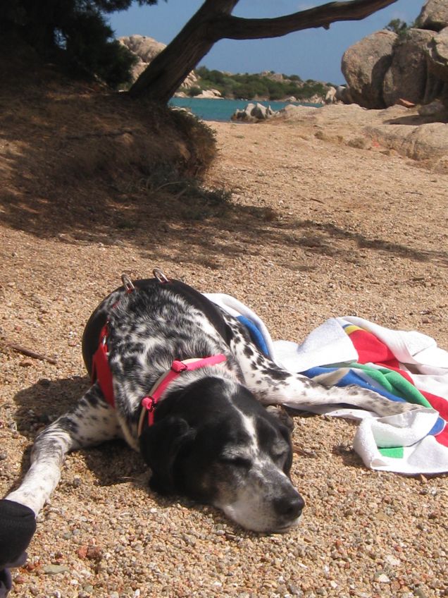 'Spiaggetta Privata'....Attenti a Me!