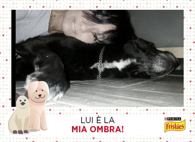 Un amore così grande, un amore così...