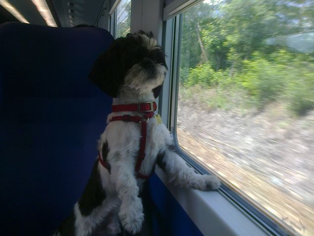 che bel panorama....