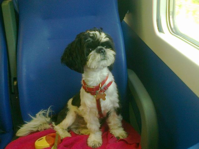 CHE BEL VIAGGIO IN TRENO