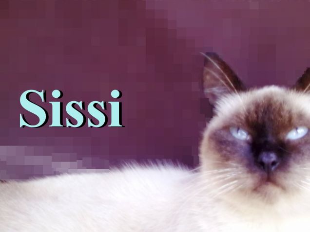 sissi