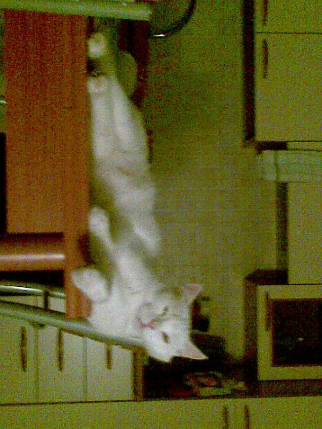 sono un p&Atilde;&sup2; stanco