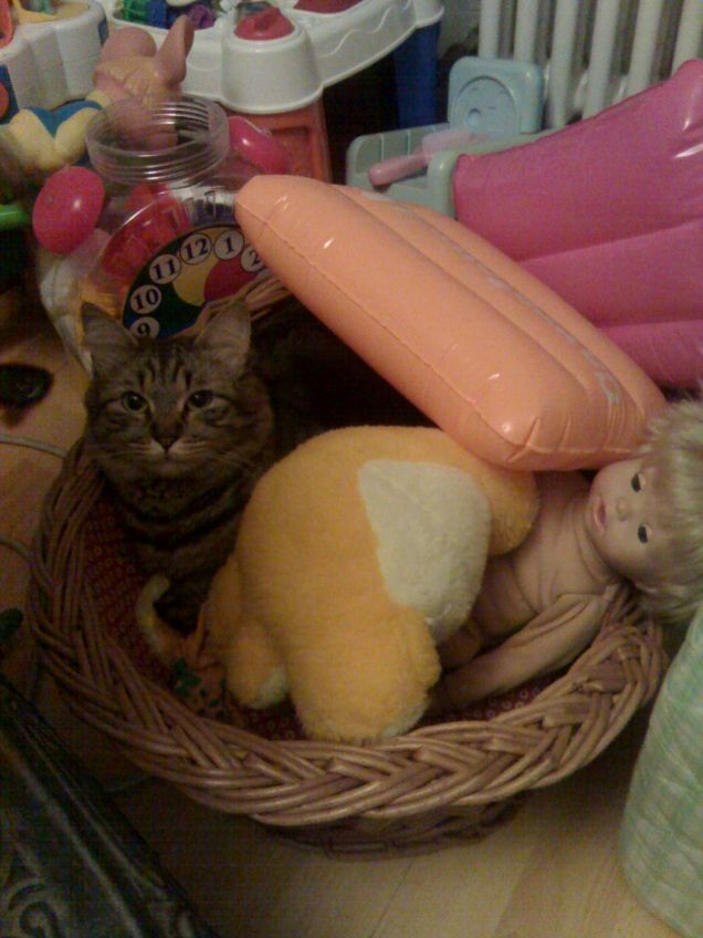 ANCHE A ME PIACCIONO I GIOCATTOLI