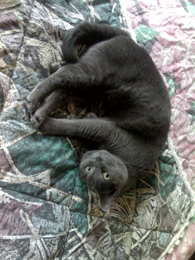 Nel lettone si dorme meglio