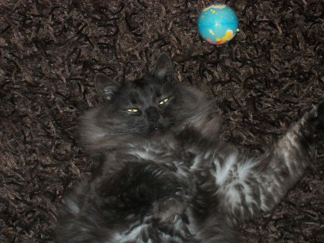 per ora mi rilasso!!!!!