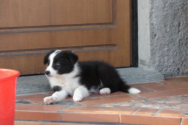 Aygo e bimba alla conquista della postazione