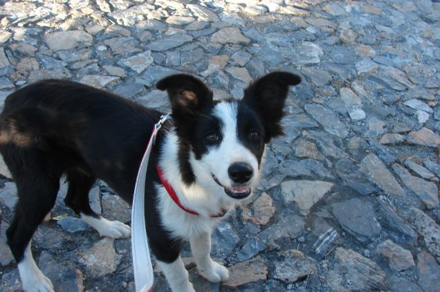 bimba pronta per la passeggiata