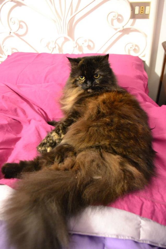 La parte destra del letto è mia...