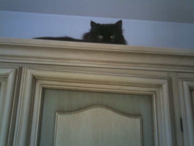 Guarda che tuoi occhioni si vedono!