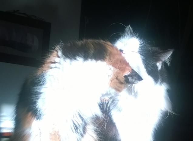 Matilde e Temistocle 