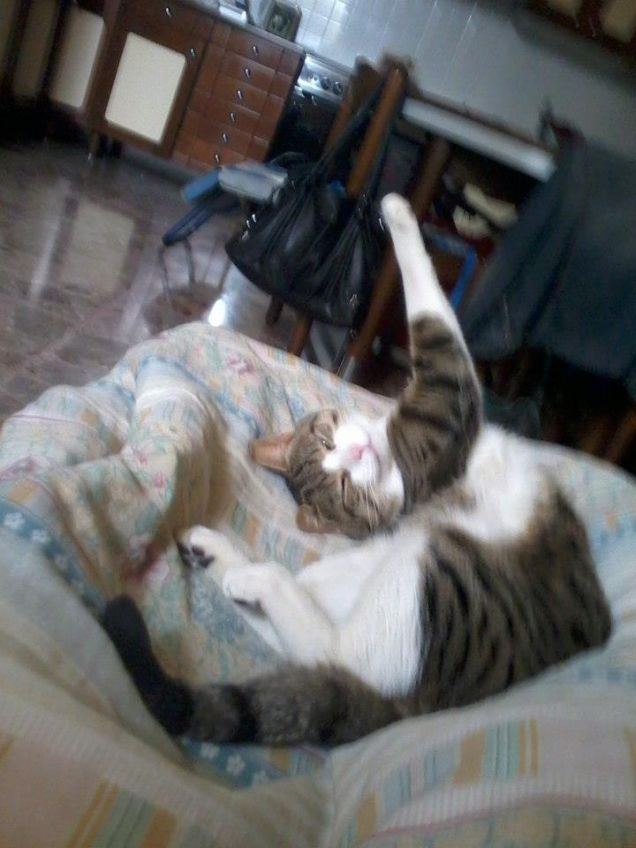 ginnastica mattutina...