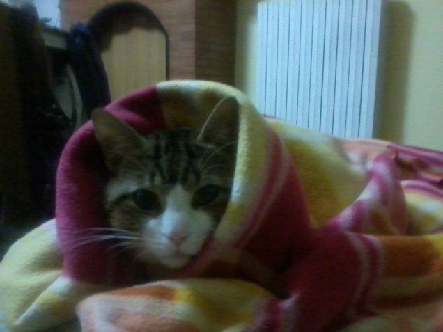 brrrr... ke freddooo!