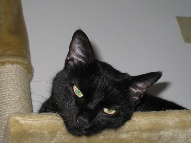 Che fatica ho lavorato tantissimo