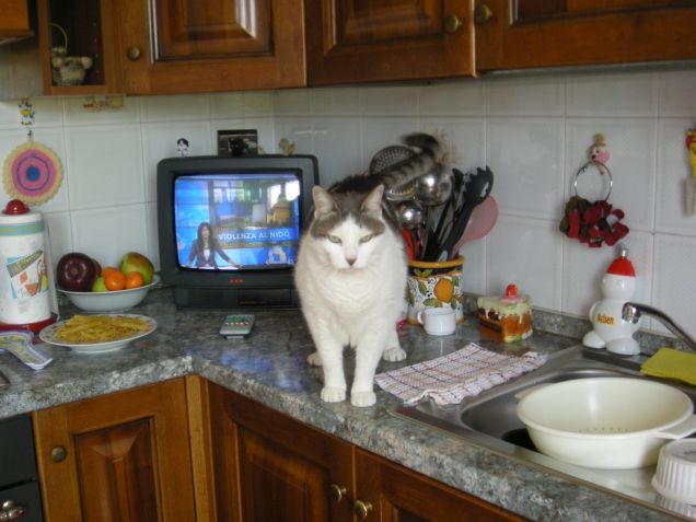 ..e Mary prepara il pranzo..