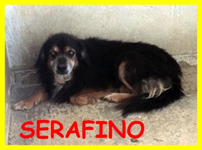 SERAFINO anziano e forse non vedente deve uscire subito