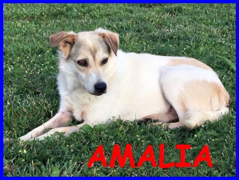 AMALIA 8 anni non ha ancora provato la gioia di una famiglia