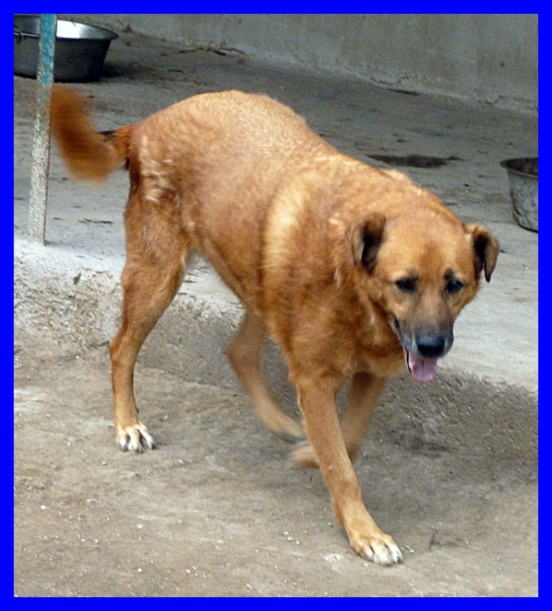 KAISER buonissimo e saggio