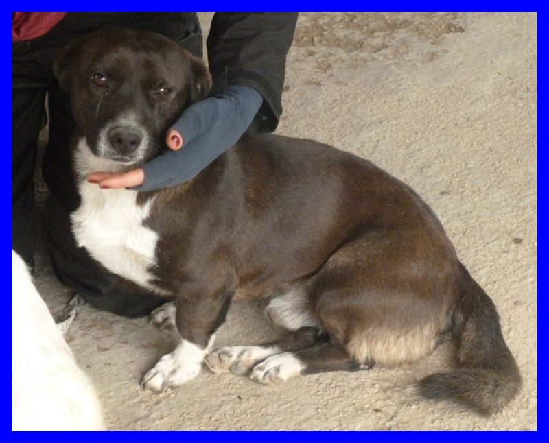 MASTER nanerottolo di 5 anni