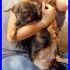 JEWEL cucciolona 1 anno taglia piccola ancora in canile