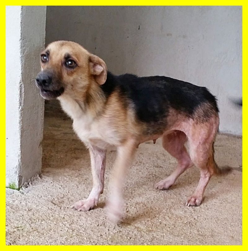 GRETA con gli occhi implora adozione d'amore