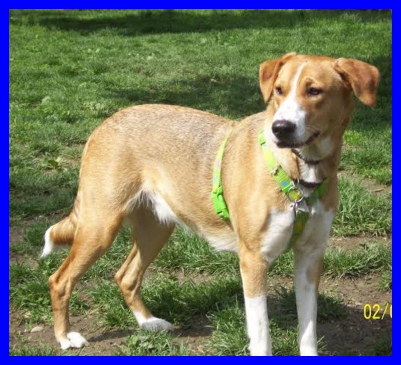 TITA splendida e pronta per l'adozione 