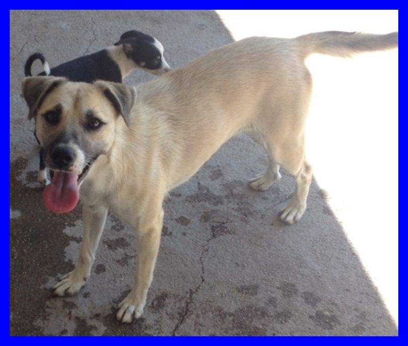 JADORE tenerissima e dolcissima fa da mamma agli orfani