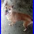 MONTY tg pccola dolce solare simpatico