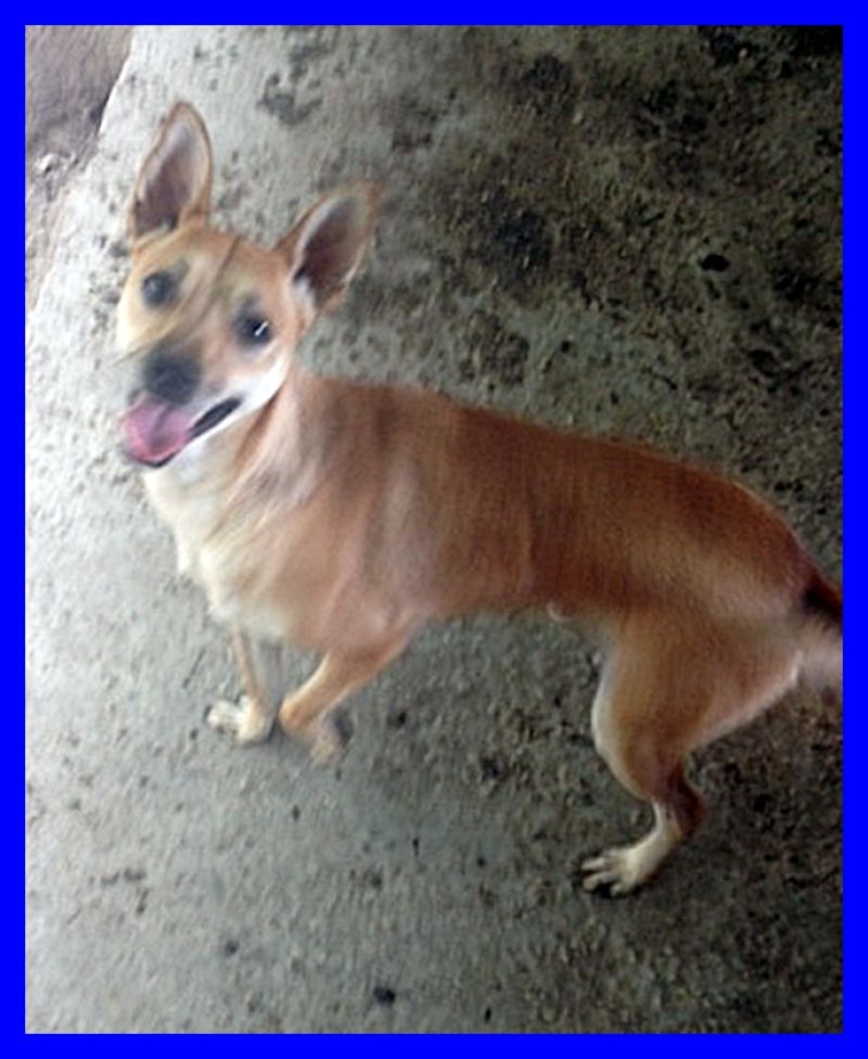 MONTY tg pccola dolce solare simpatico