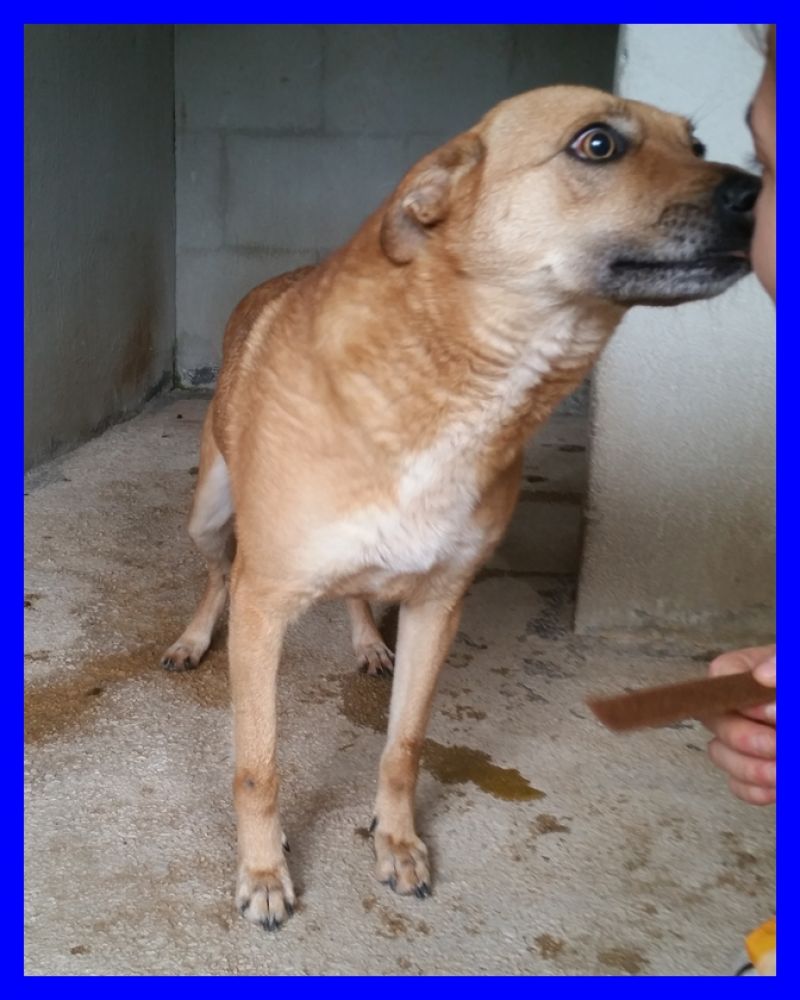 ANGELICA 3 anni tg media affettuosa