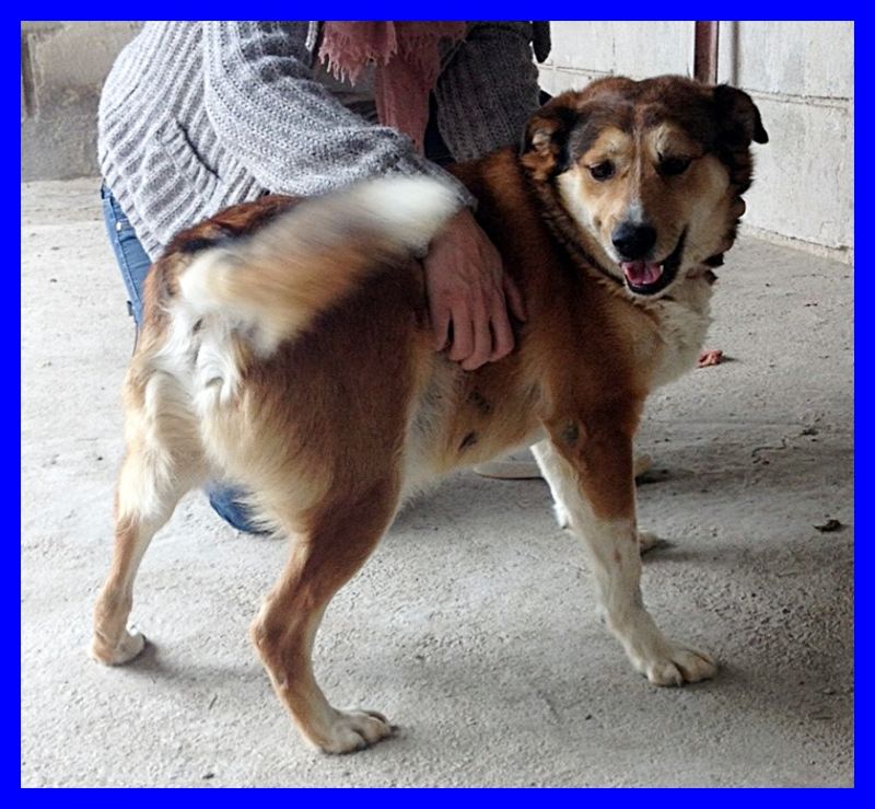 GIANDUIA buonissimo dolce e tenero come un cioccolatino