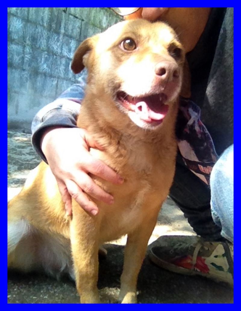 BAFFO un anno di appelli ma nessuna richiesta eppure è speciale