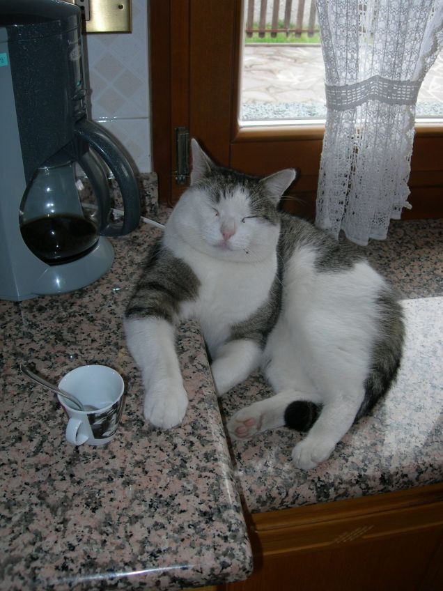Adesso mi faccio una tazzina di caffé