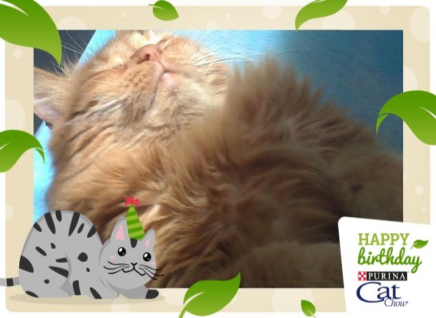 Sono al settimo cielo! 