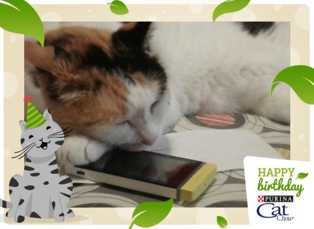 Mi chiama o non mi chiama?