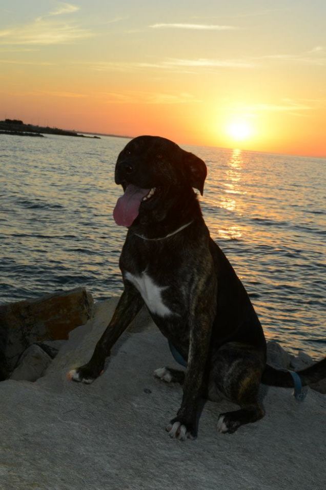 Sapore di mare, sapore di sale!