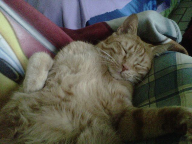 il sonno del guerriero