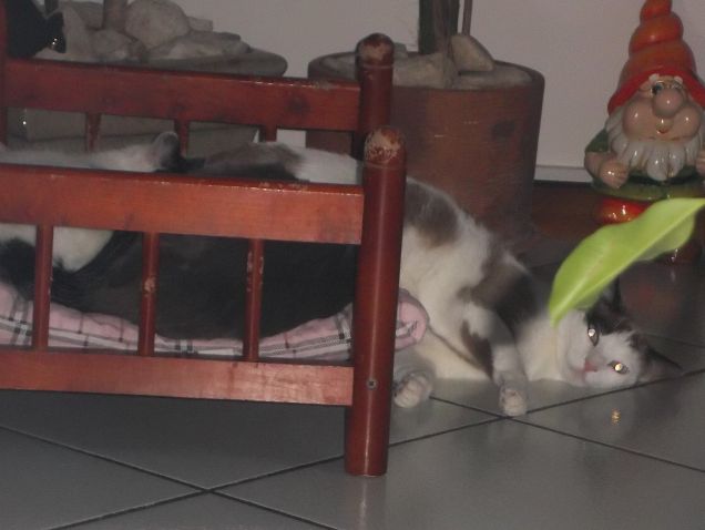 Come sono stanco...
