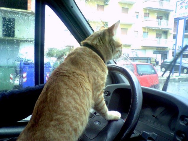 con questo traffico... pure la pioggia ci mancava!