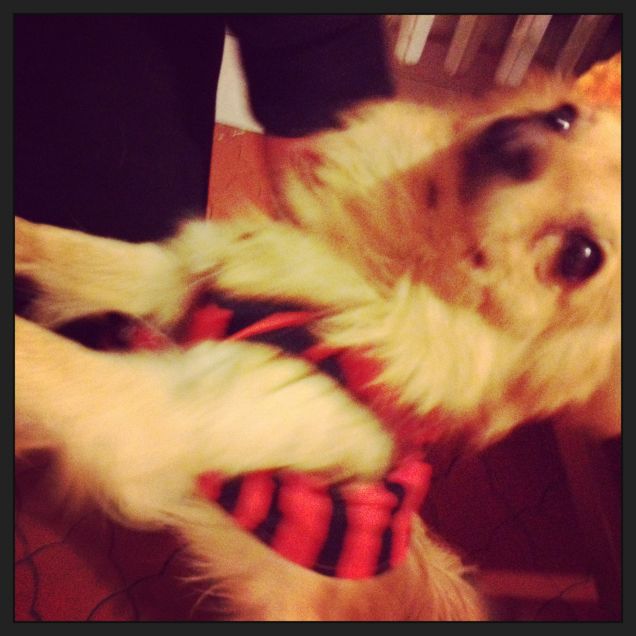 kevin PRINCE boateng