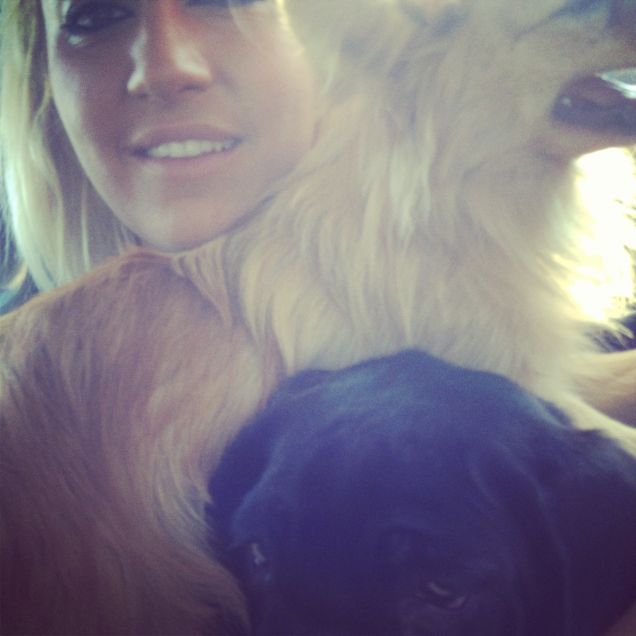 immersa tra i cuccioli 