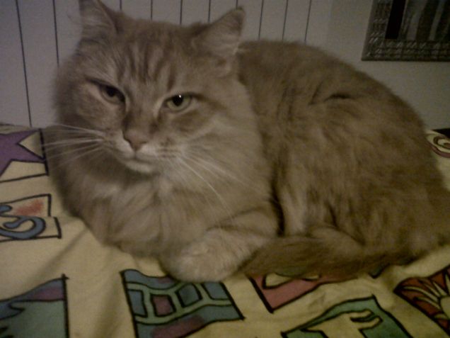 il letto è la mia passione